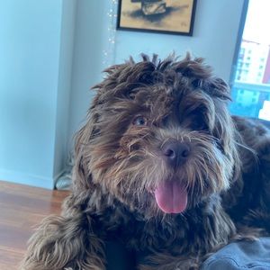 Meet your Posher, Andrea